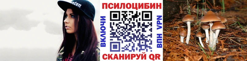 Галлюциногенные грибы ЛСД  mega зеркало  Изобильный 